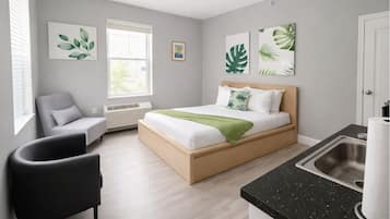 Estudio | Wifi gratis