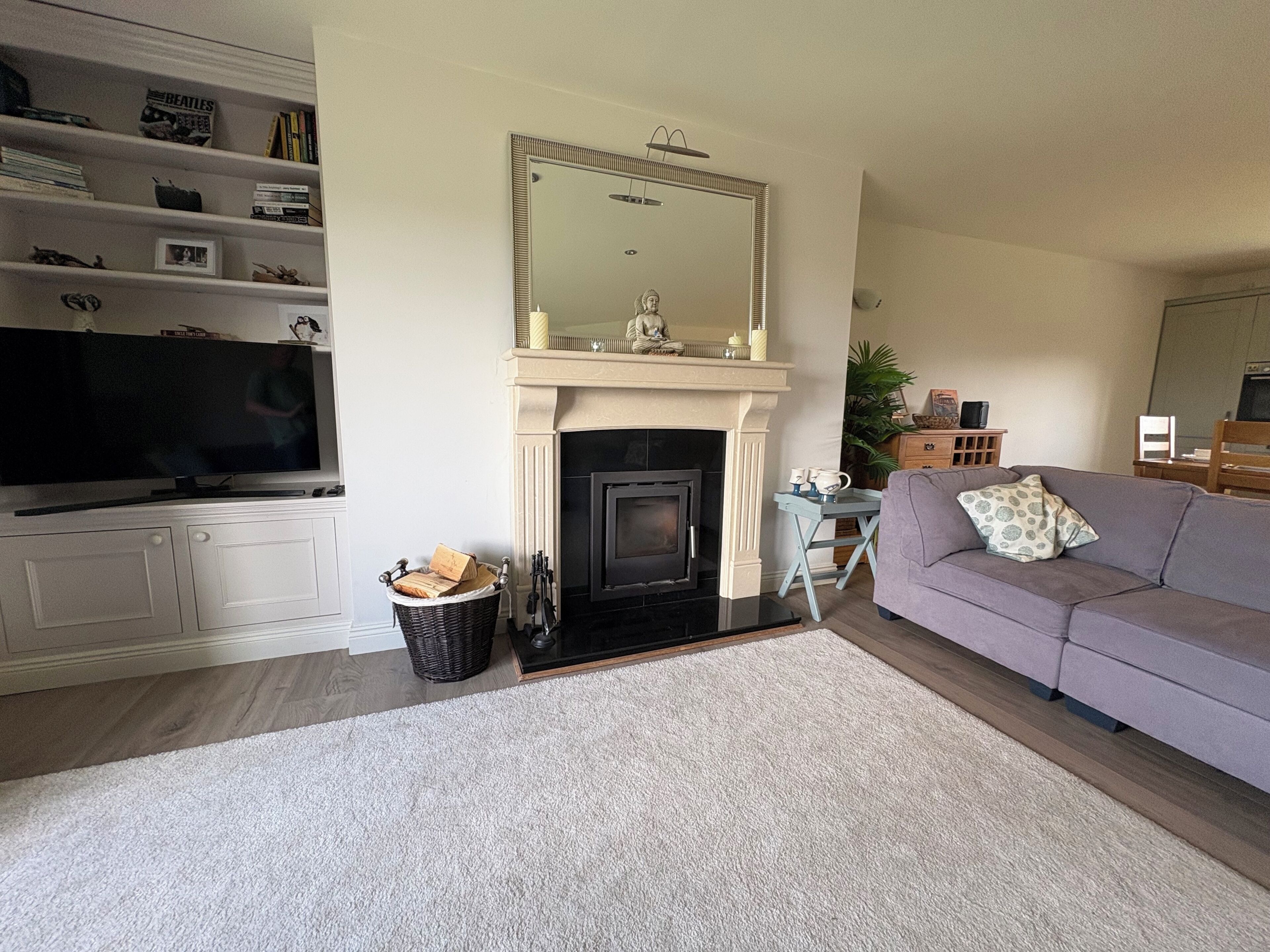 A living room with a fireplace, a television, a sofa, and a bookshelf.