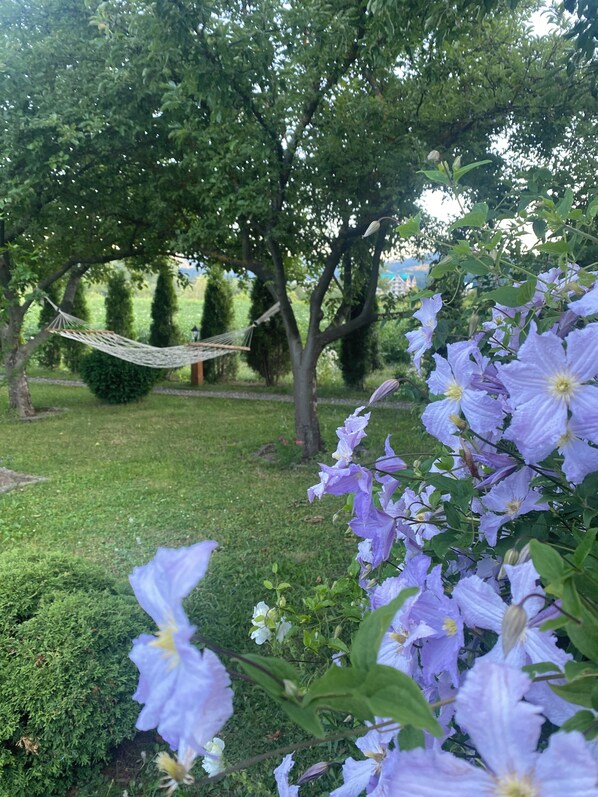 A hammock between trees, a grassy area, and purple flowers.