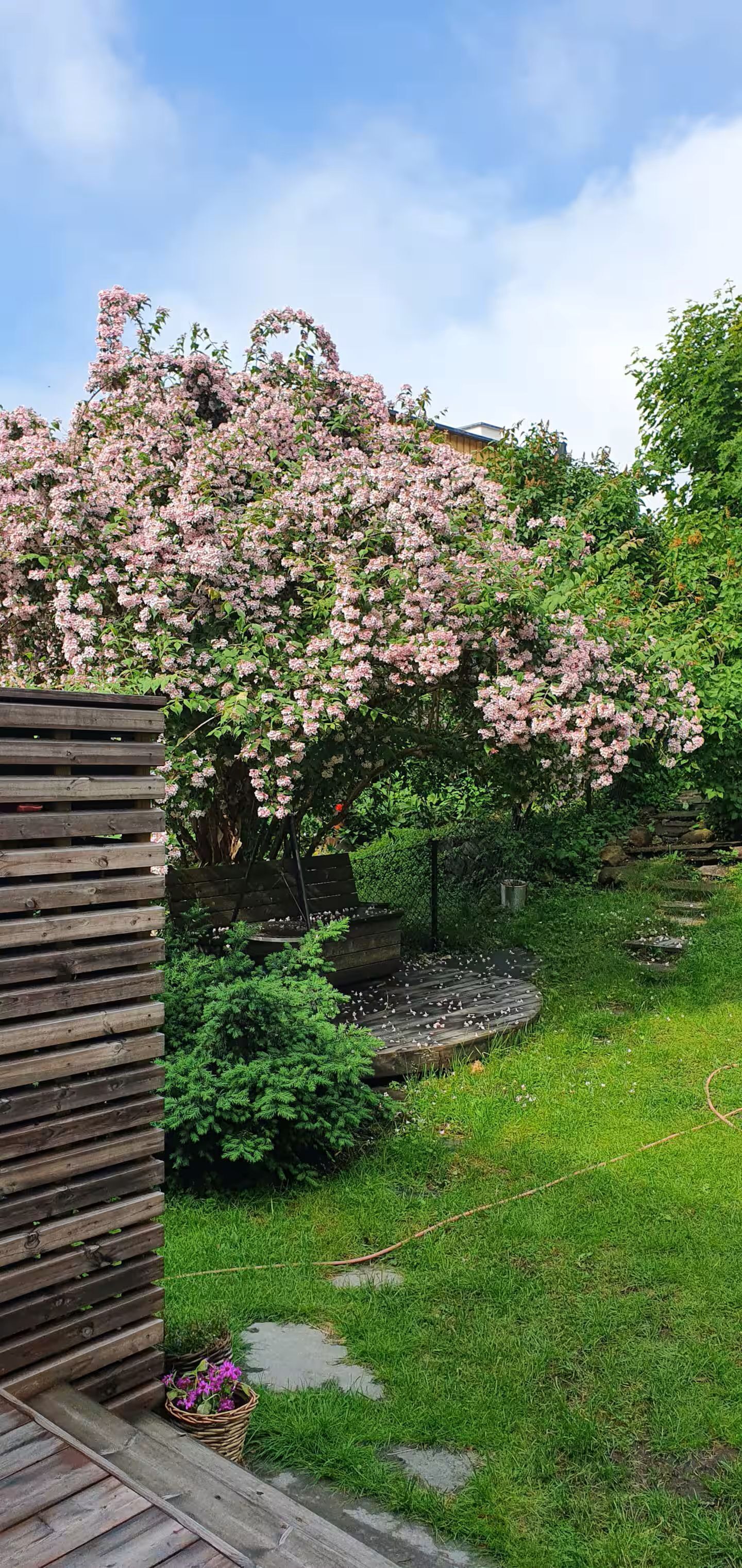 Overnattingsstedets uteområder