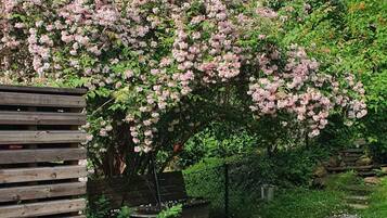 Overnattingsstedets uteområder