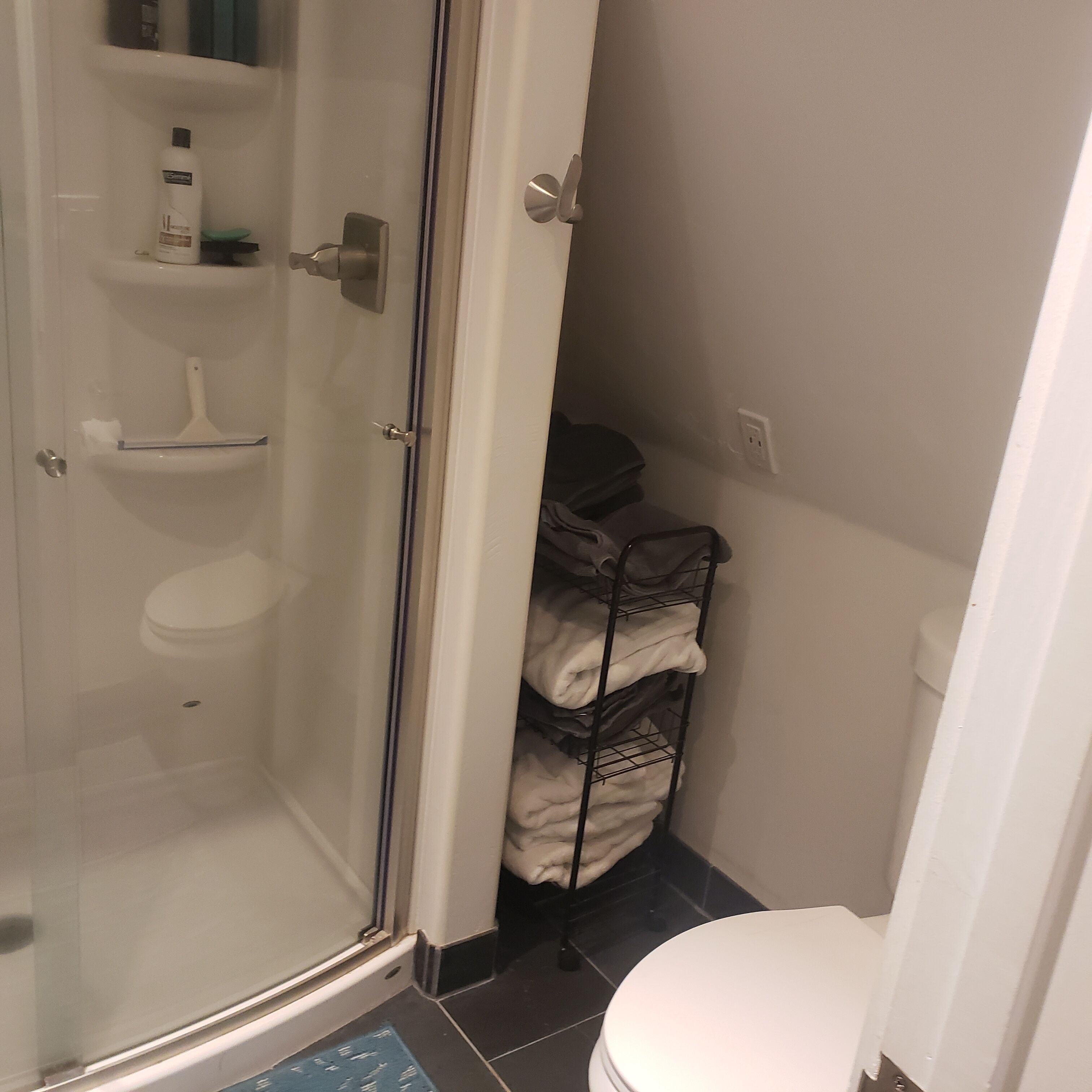Une salle de bain avec une douche à parois de verre, des toilettes et un porte-serviettes avec des serviettes pliées.