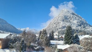 Ein Berg mit schneebedeckten Bäumen und Häusern in einem Tal.