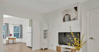 Entire newly renovated one-bedroom apartment