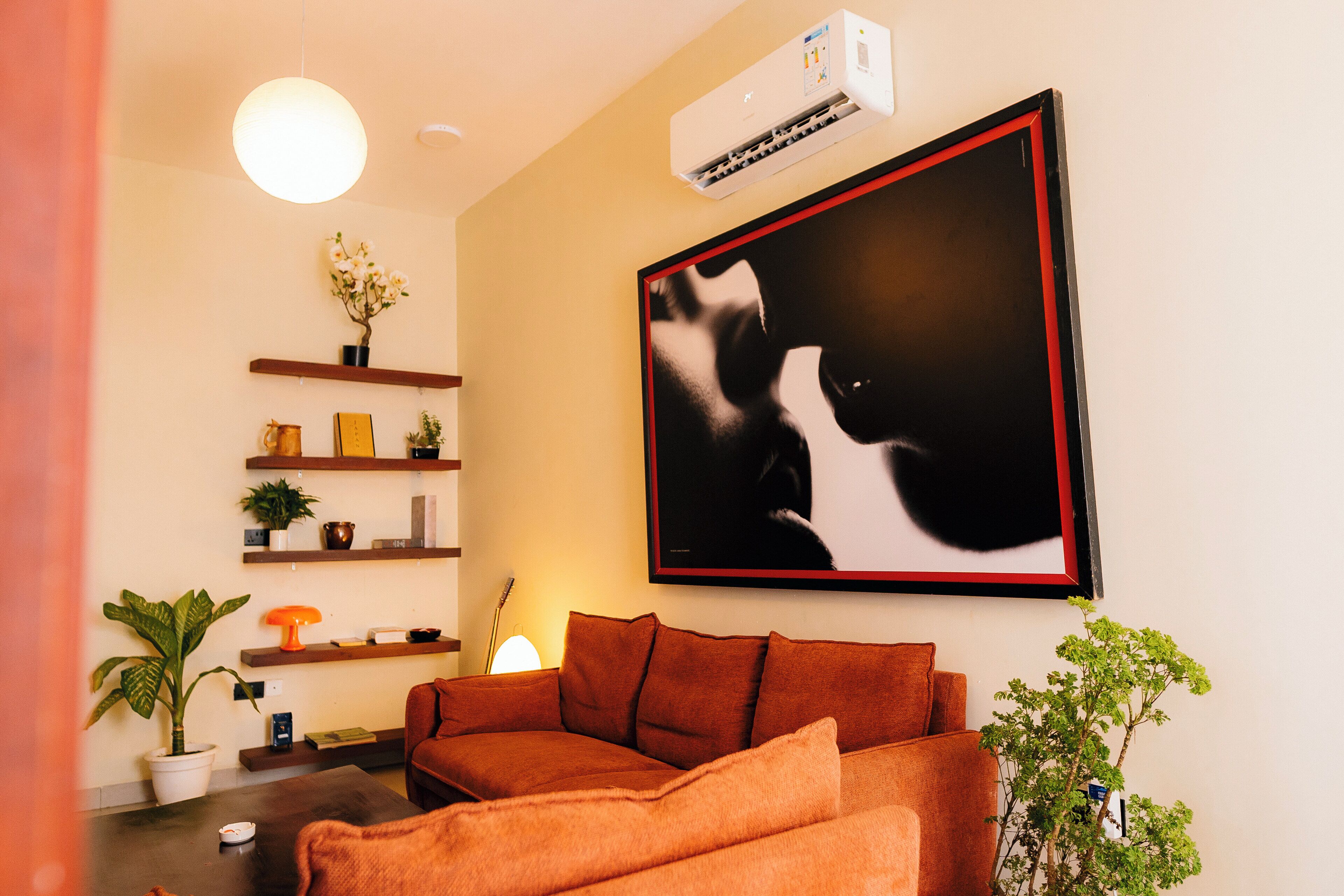 Ein Wohnzimmer mit einer Couch, einer Topfpflanze, einer Lampe und einem gerahmten Bild an der Wand.