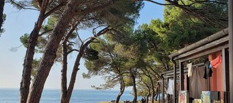 Family Bungalow Pineta