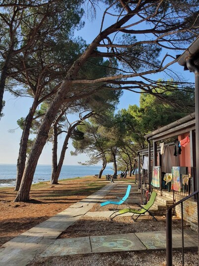 Family Bungalow Pineta