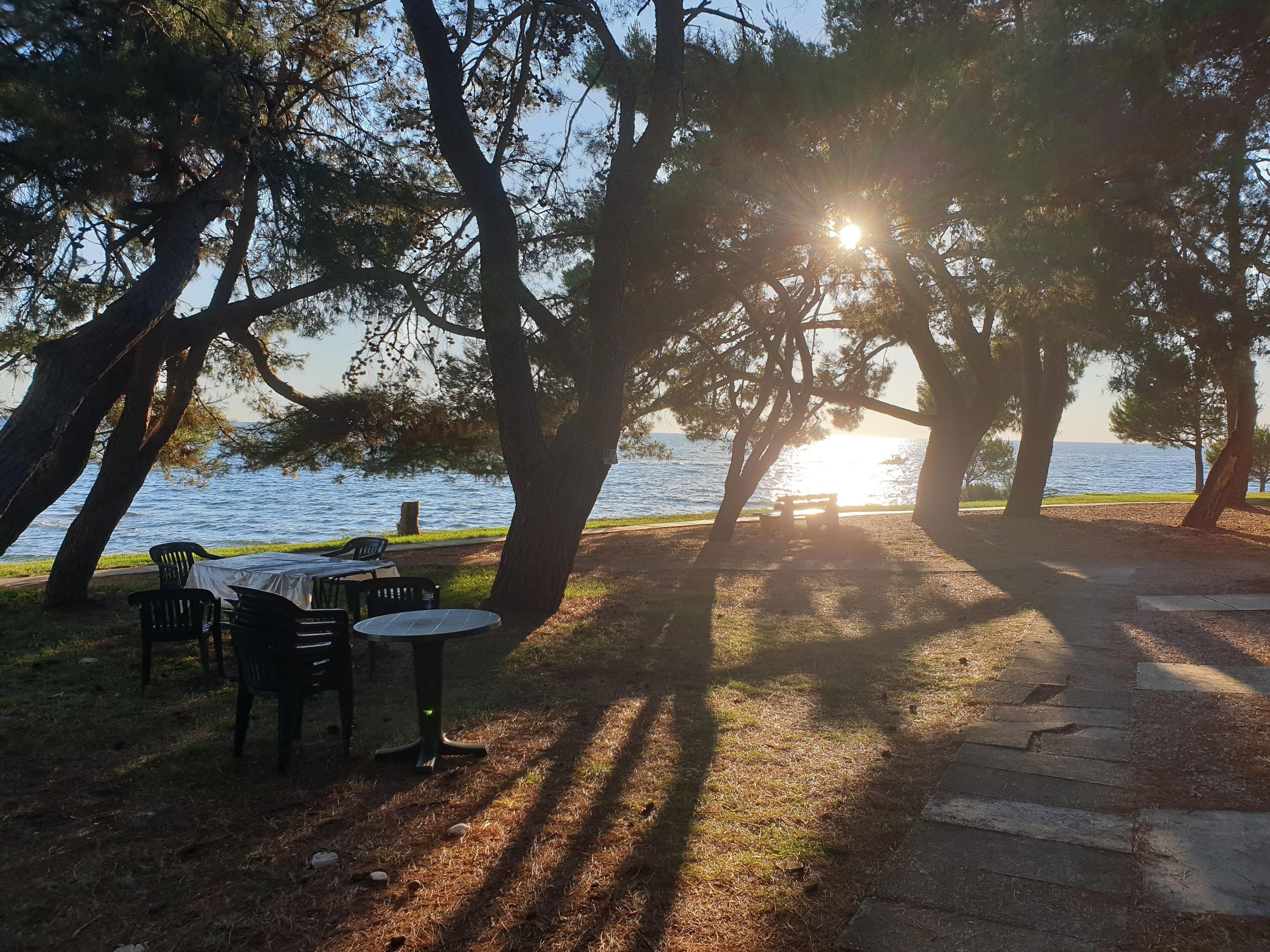 A park with a table and chairs under trees, a bench, and a path leading to the water.