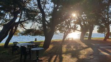 A park with a table and chairs under trees, a bench, and a path leading to the water.