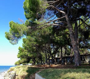 Property grounds - Family Bungalow Pineta (Novigrad)