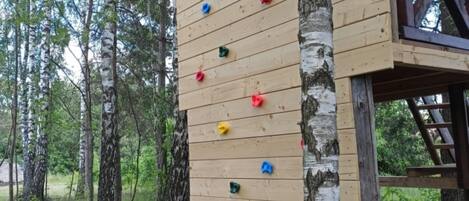 A wooden climbing wall with various colored holds, surrounded by birch trees in a forest.