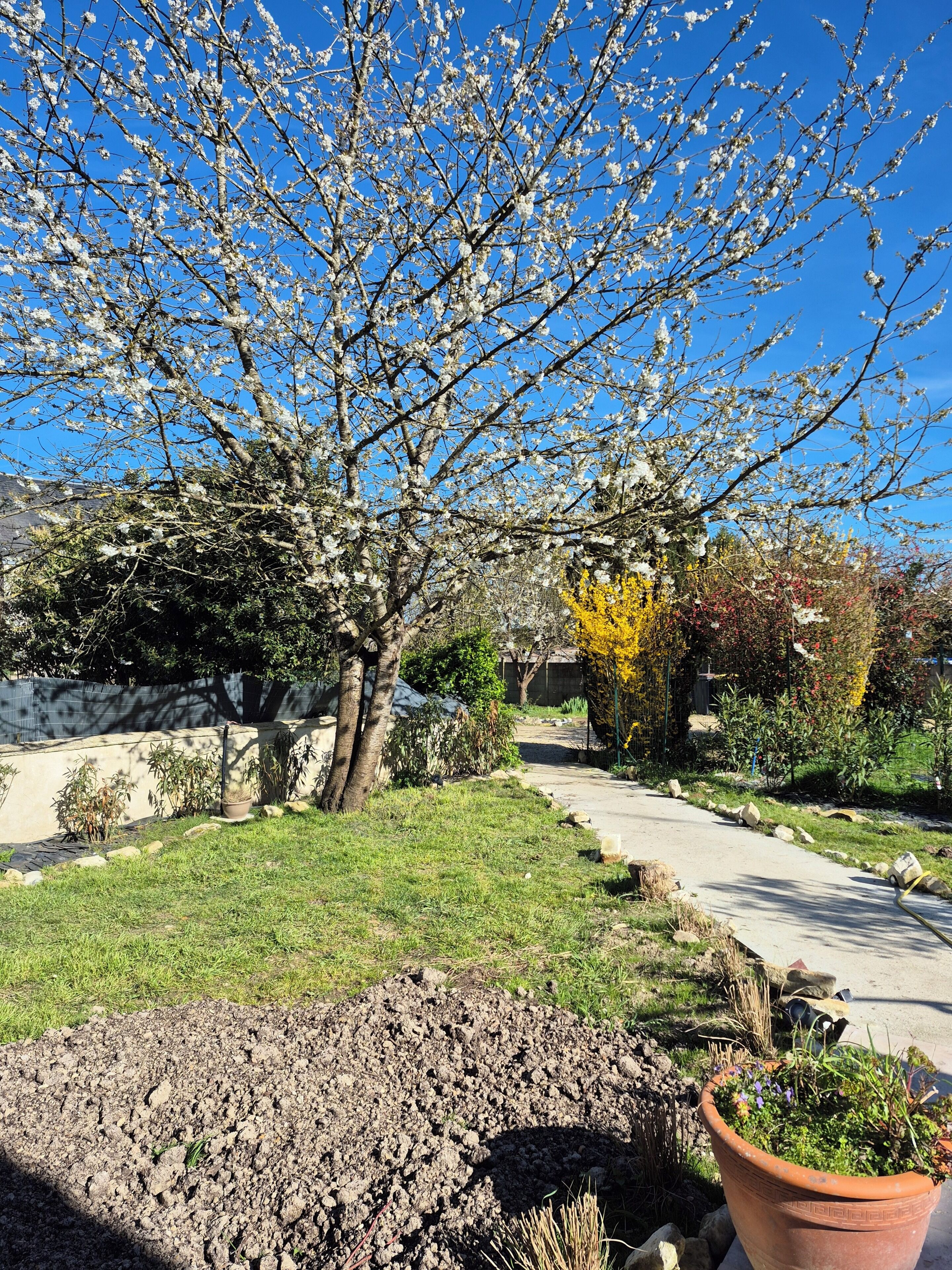 Overnatningsstedets område