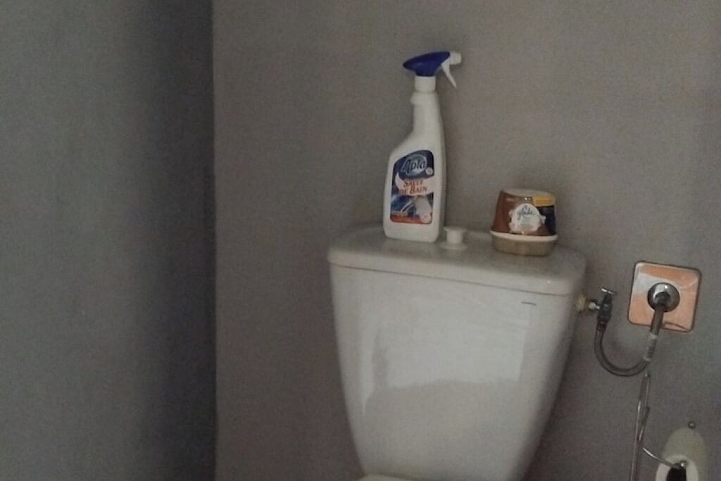 Een toilet met een fles Ajax afwasmiddel en een klein bakje op de tank.