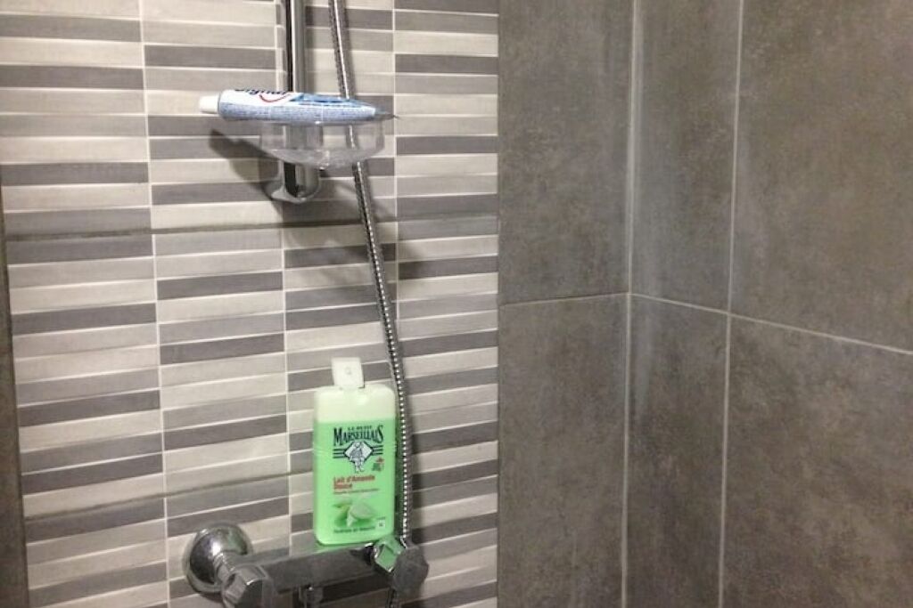 Shower, hair dryer, towels, toilet paper