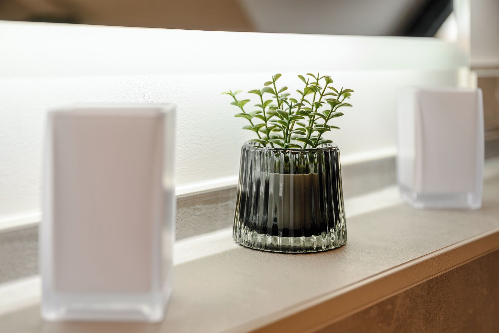 Un petit vase en verre à côtes, dans lequel est plantée une plante verte, posé sur une étagère en bois.