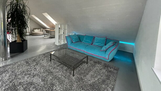 A modern loft with a teal sofa, a coffee table, and a large plant. - WeinZeit4 - Premium time out at the Frank Meyer winery (Gleiszellen-Gleishorbach)