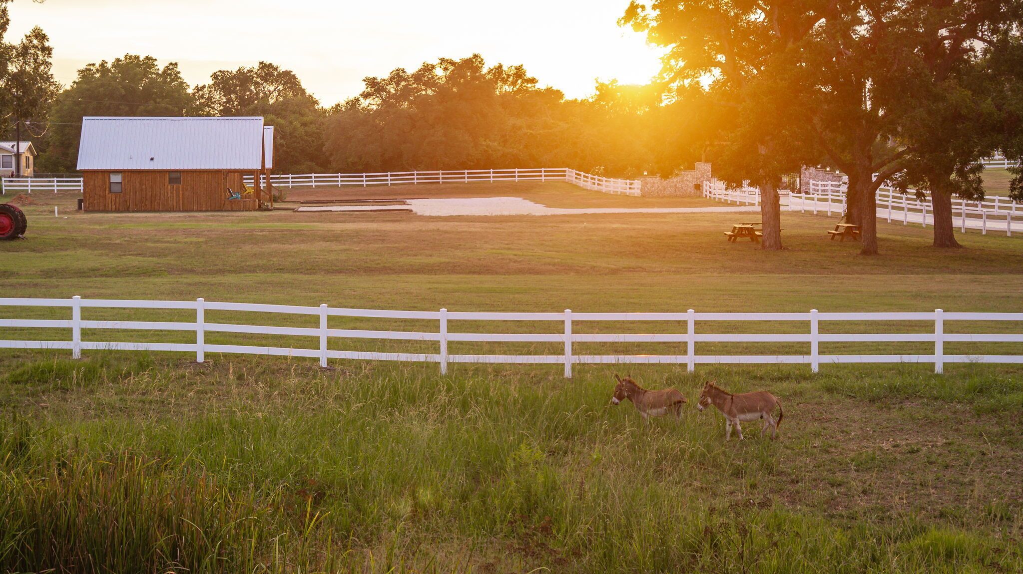 Área da propriedade