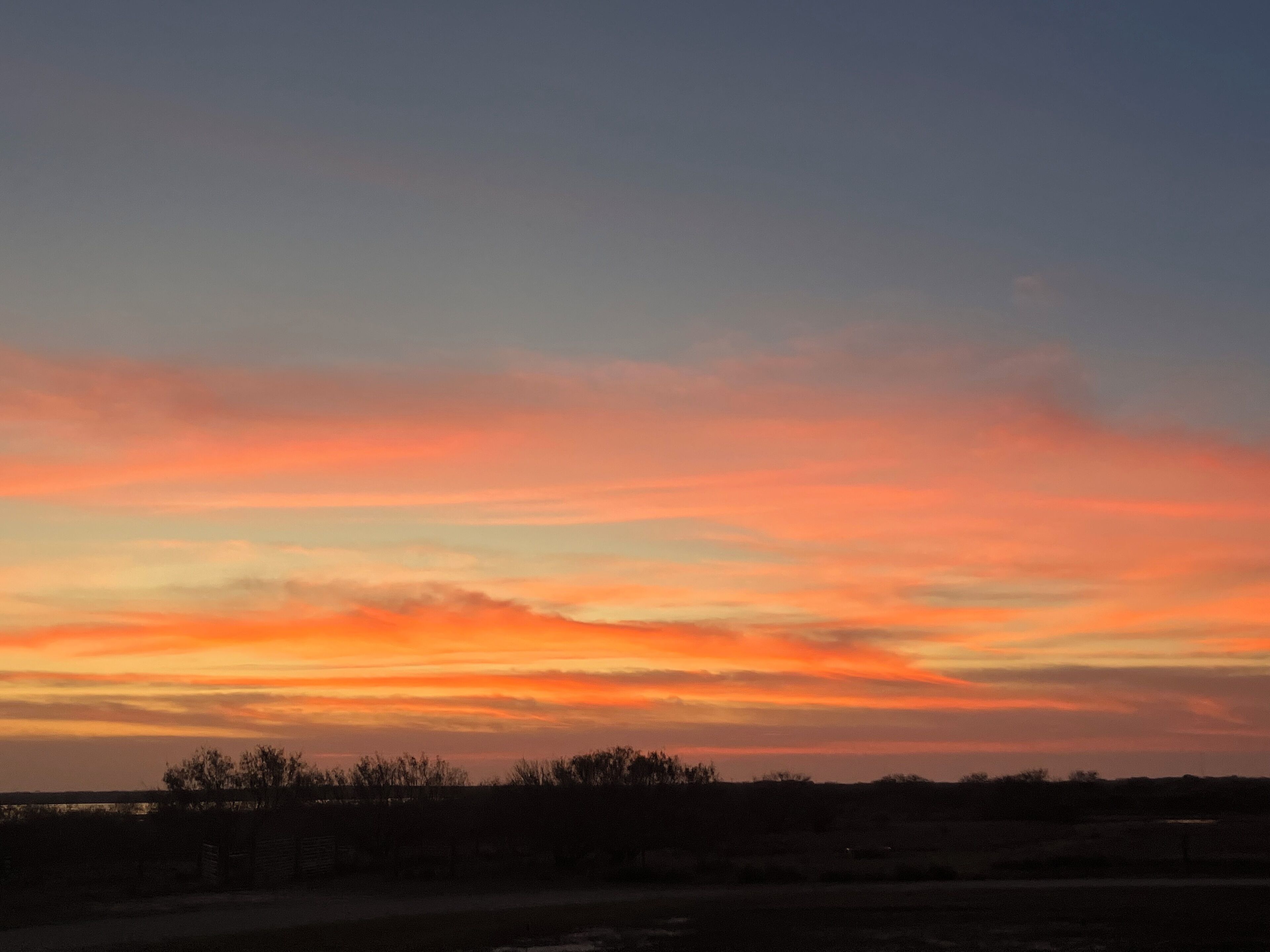 Un atardecer sobre una llanura extensa con poca vegetación y un horizonte despejado.