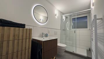 Ducha, secador de pelo, toallas, papel higiénico