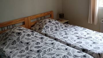 Fer et planche Ă repasser, Wi-Fi