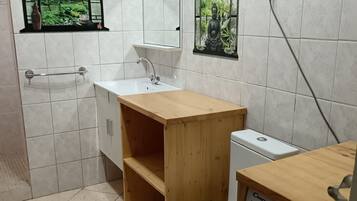 Ducha, secador de pelo, jabón y papel higiénico