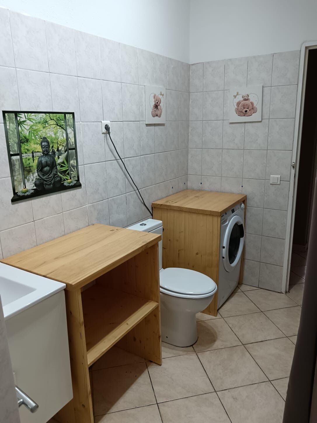 Ducha, secador de pelo, jabón y papel higiénico