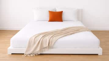 Estudio | Wifi gratis