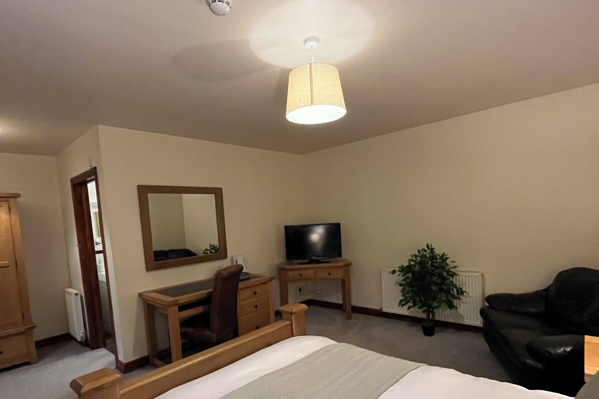 A bedroom with a bed, a desk, a chair, a television, and a potted plant.