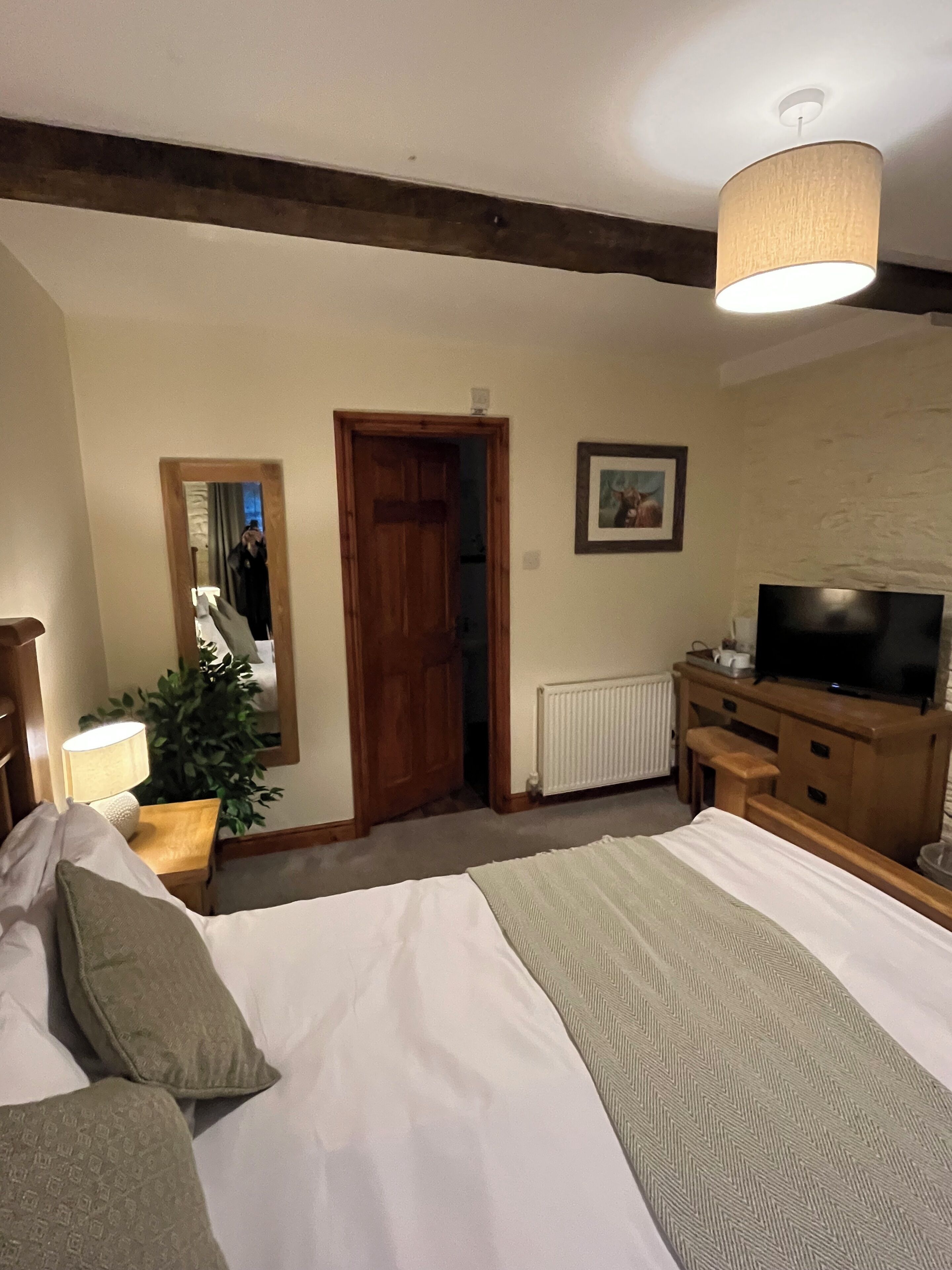 A hotel room with a large bed, a television, a wooden dresser, a mirror, and a radiator.