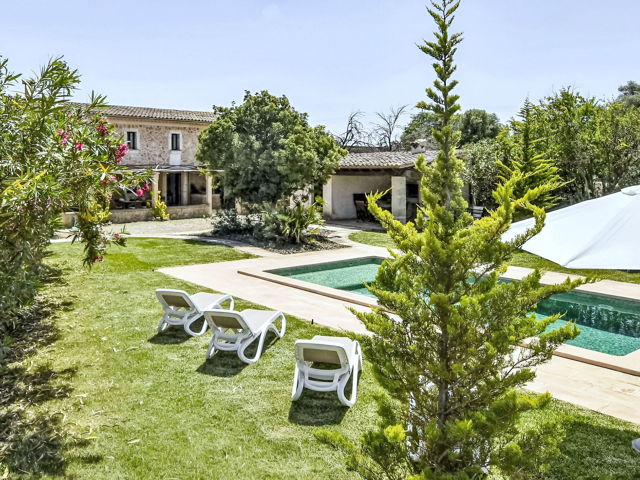 A backyard with a swimming pool, lounge chairs, and a small building.