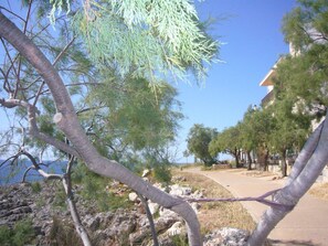 Property grounds - Fonoll Mari by Interhome (S'Illot)