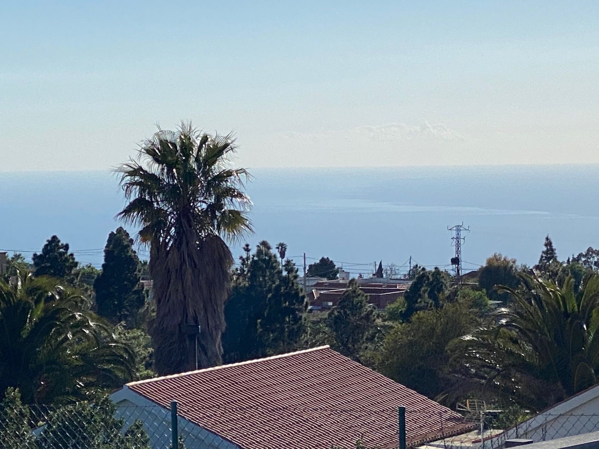 A coastal view with a prominent palm tree and a building with a red-tiled roof.