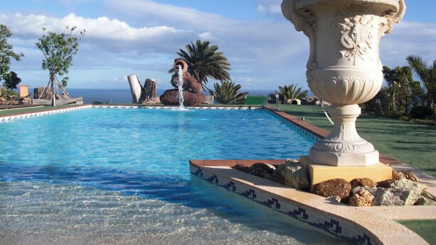 Ein Pool mit klarem, blauem Wasser, einem Kaktus-Pflanzgefäß und einem Wasserfall.