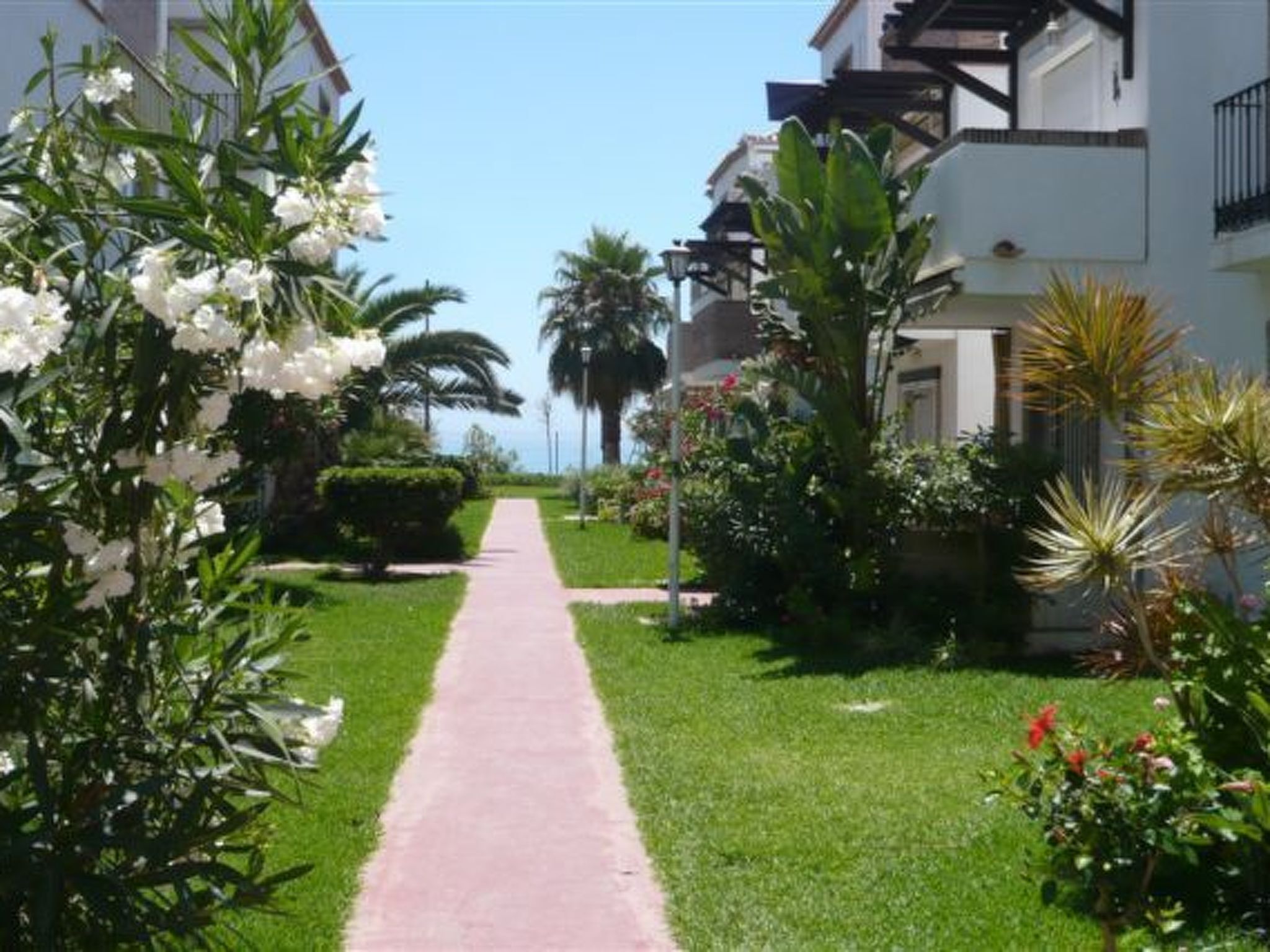 A pathway leading through a well-maintained garden with various plants and a clear sky.