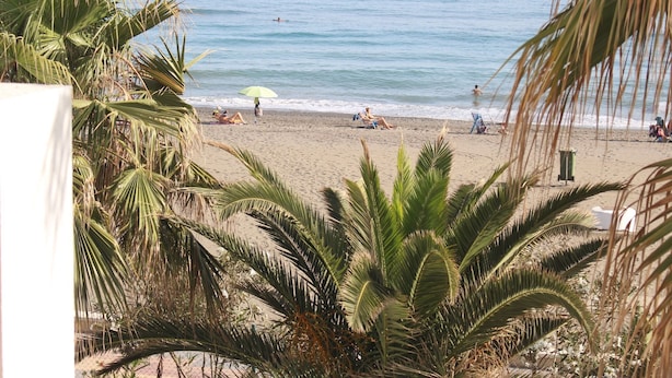 Een strand met palmbomen, een zandstrand en de oceaan.
