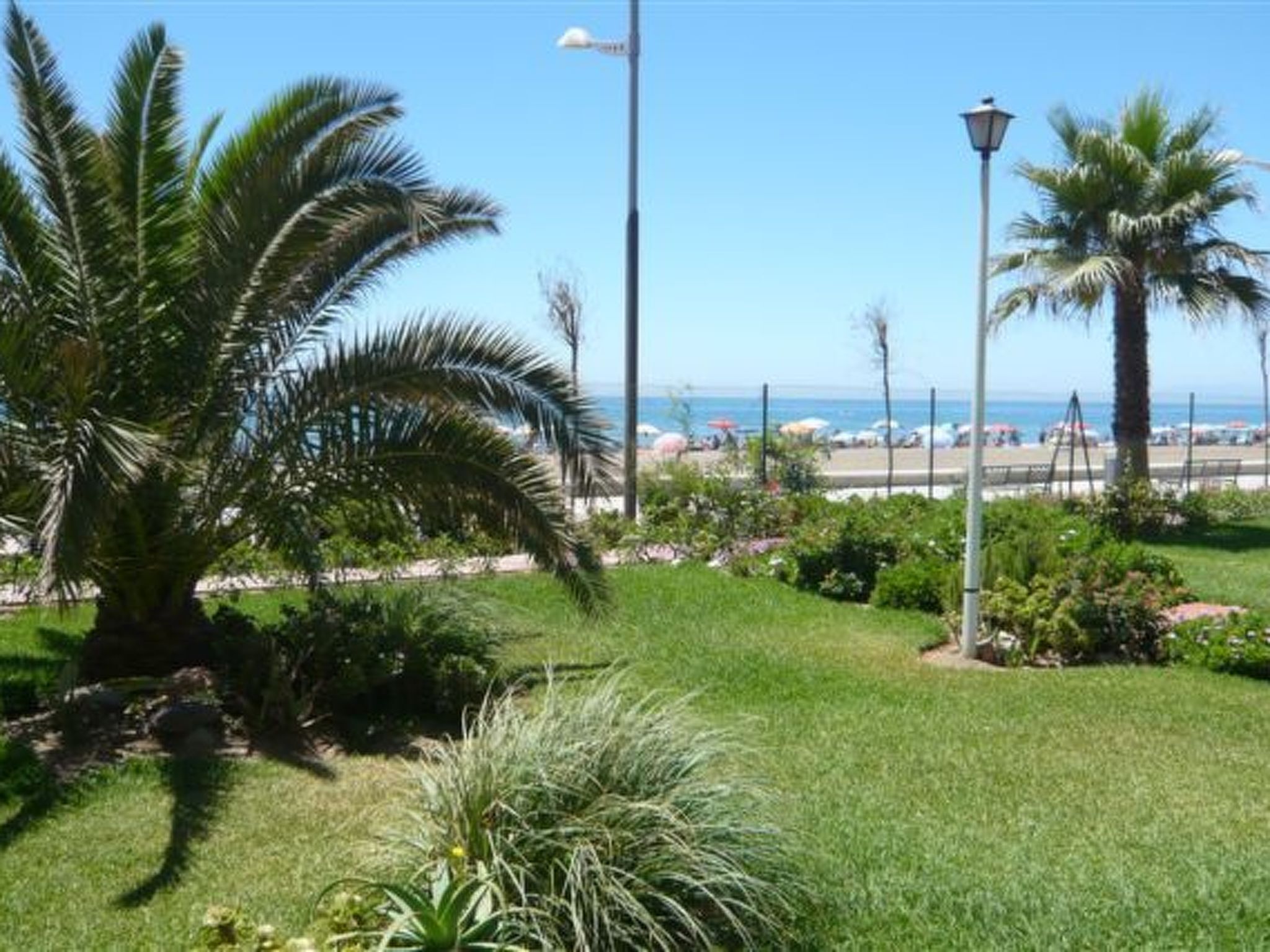 Een verzorgde tuin met palmbomen en diverse struiken, een helder uitzicht op het strand en een lantaarn.