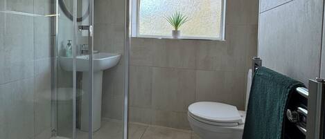 Hair dryer, towels, soap, toilet paper