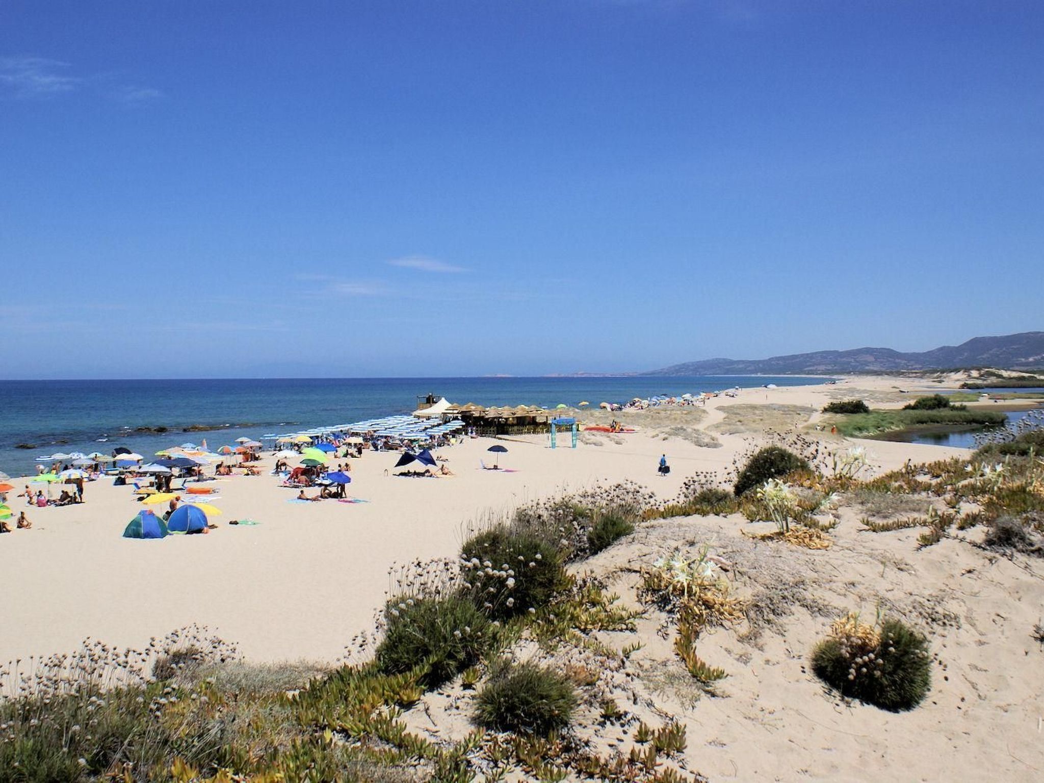 Playa