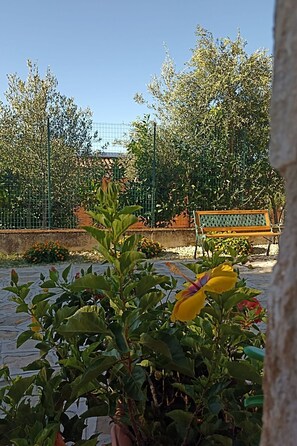 Enceinte de l’hébergement