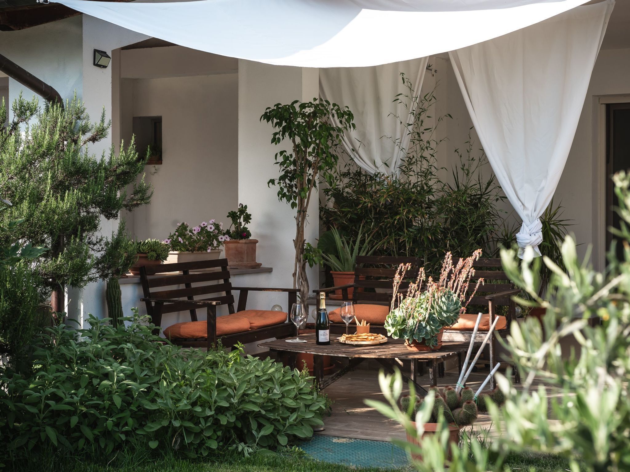 Terras