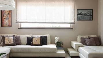 TV, fireplace, DVD player