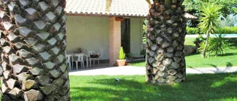 Terraza o patio