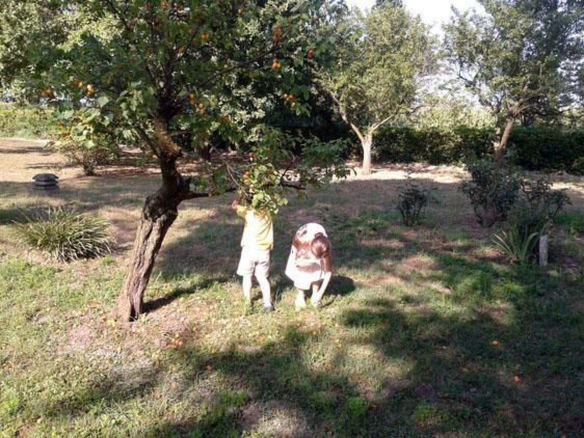 Parco della struttura