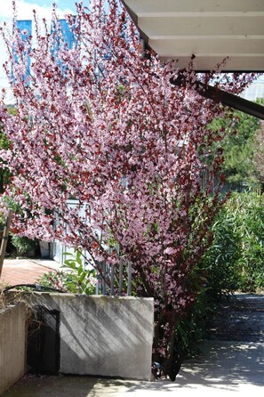 Property grounds - Wohnung 'Garda' mit Terrasse by Interhome (Desenzano)