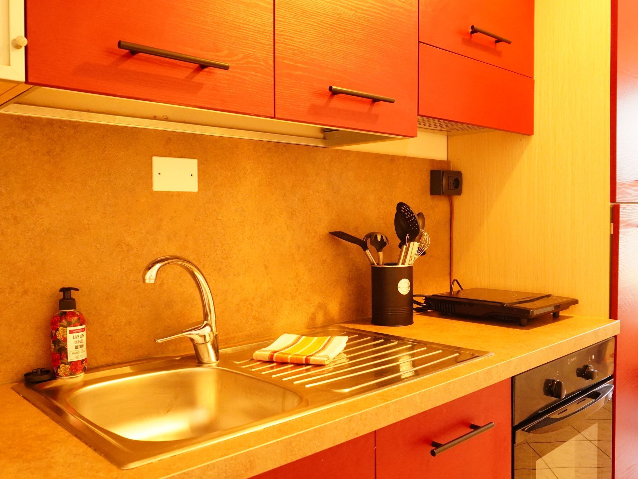 Fridge, oven, cookware/dishes/utensils
