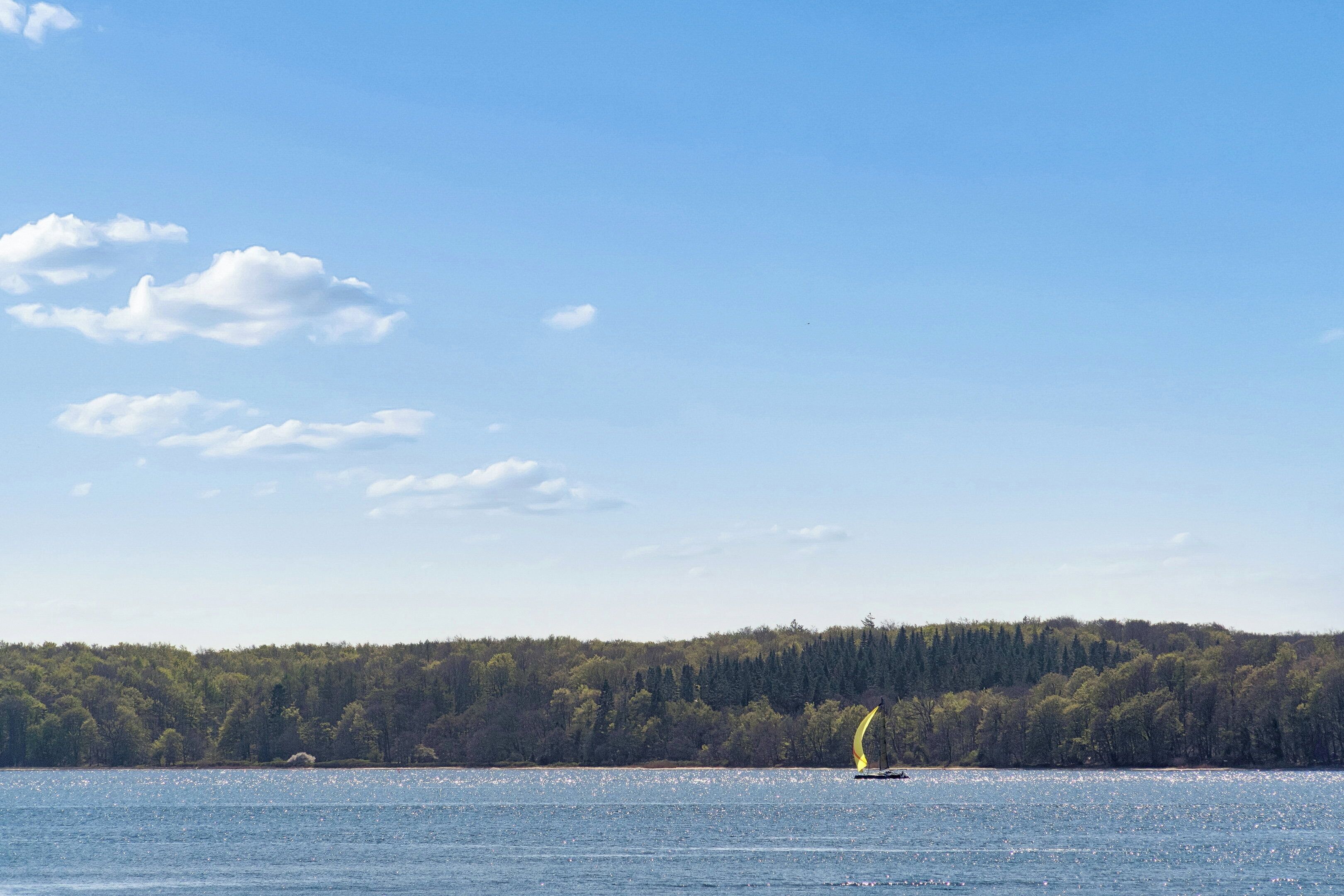 A calm lake with a sailboat, surrounded by a forested shoreline.