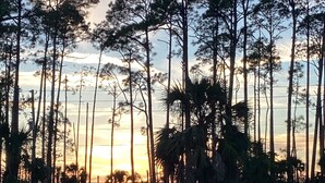A parking lot with trees and a sunset in the background. - Sandy Paws RV Retreat...campsite, full hookups, 30-A, 4-minute drive to the Cape (Port St. Joe)
