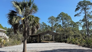 A covered pavilion with a gravel path leading to it, surrounded by trees and a palm tree. - Sandy Paws RV Retreat...campsite, full hookups, 30-A, 4-minute drive to the Cape (Port St. Joe)