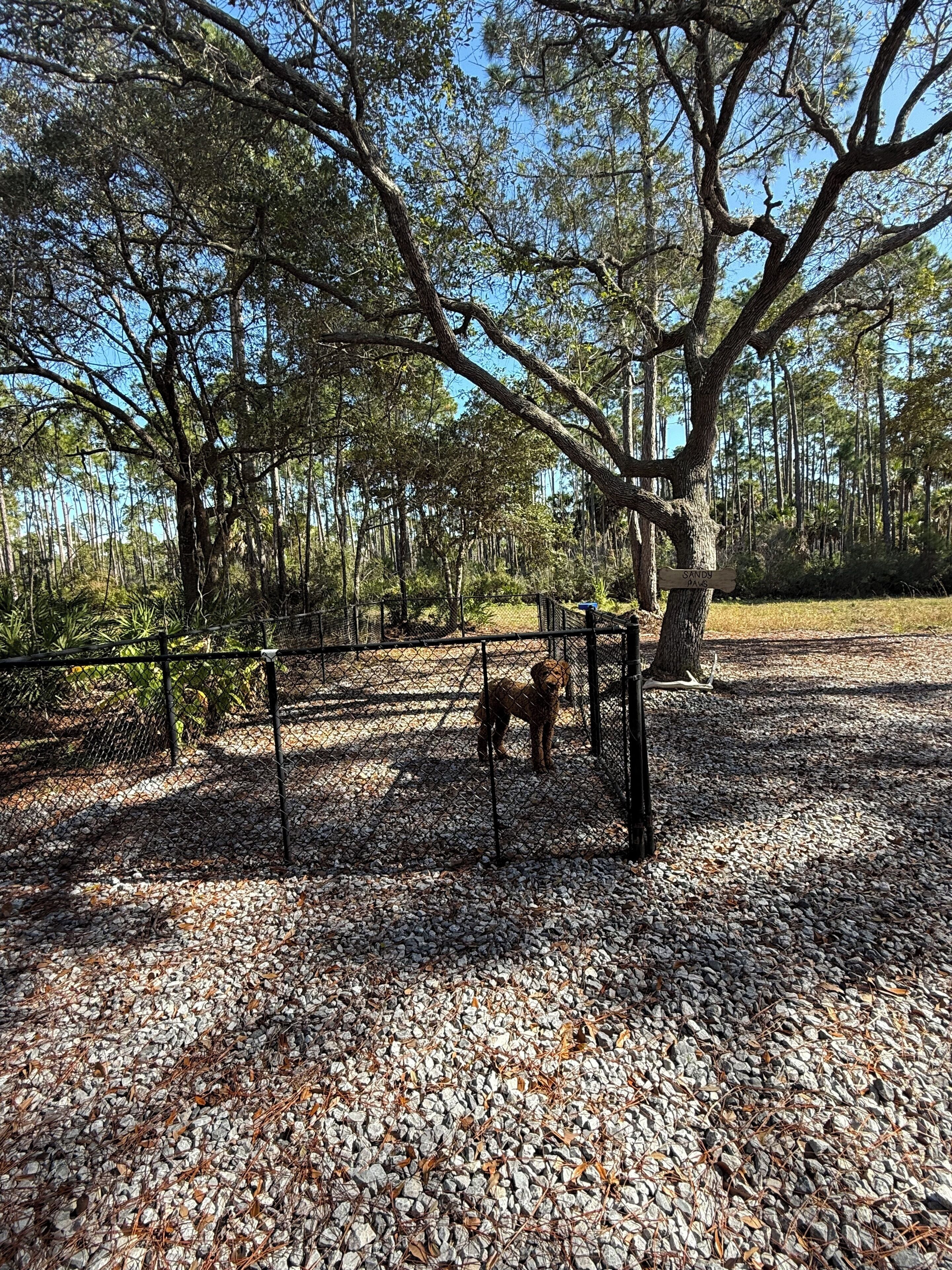 Animaux de compagnie acceptés