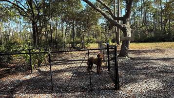 Animaux de compagnie acceptés